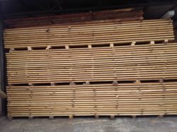 siberian larch timber