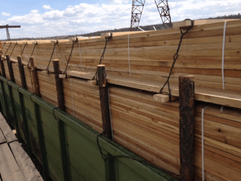 siberian larch timber
