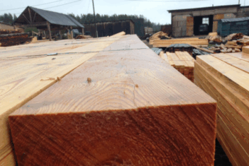 siberian larch timber
