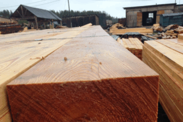 siberian larch timber