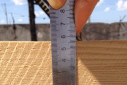 siberian larch timber