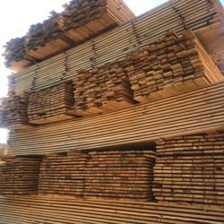 Timber Siberian larch