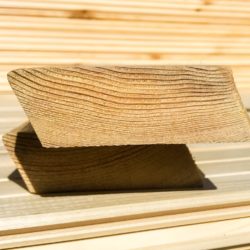 Rhombus Siberian larch