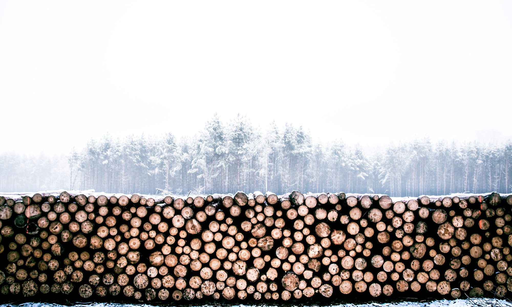supplier larch lumber
